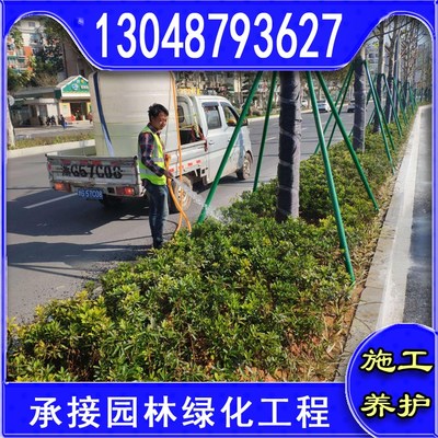 本地草皮種植基地園林小區(qū)用四季常青草坪工程綠化