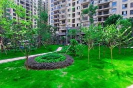 青海口碑好園林綠化值得信賴