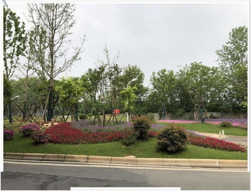 兩金 兩銀 武漢園建斬獲4項武漢市園林綠化優(yōu)質(zhì)工程獎