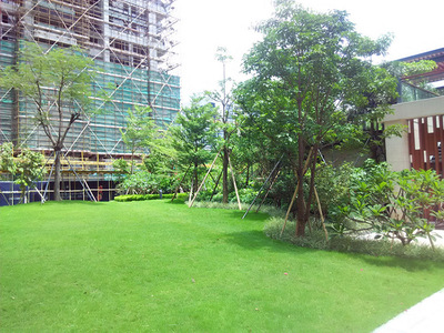 石龍景觀工程公司服務公司評價_佛嶺景觀