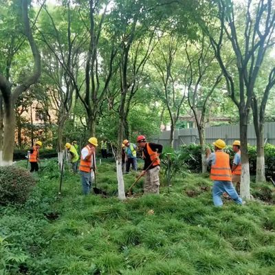 這座公園圍墻即將打開,實現(xiàn)與綠色空間的無界交流