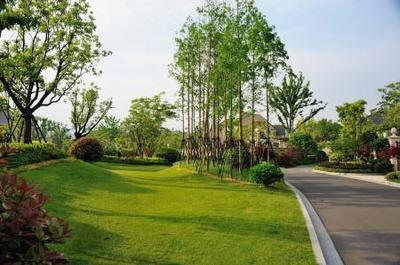 園林綠化中土方造型施工技術(shù)探討--全民網(wǎng)建